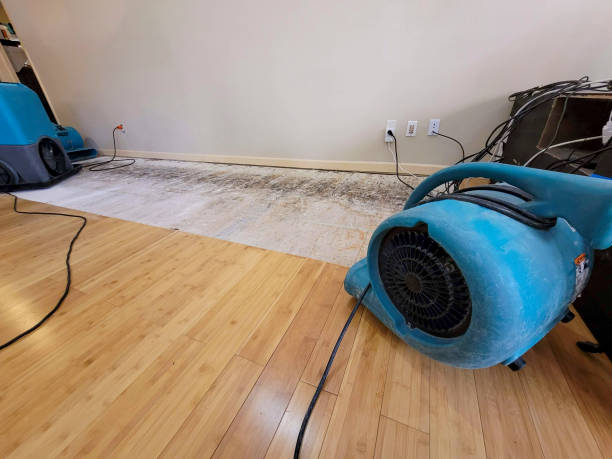 Professional Water Extraction technician working in Elburn, IL